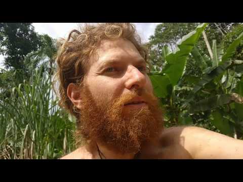 download lagu mp3 mp4 Intentional Vegan Community, download lagu Intentional Vegan Community gratis, unduh video klip Intentional Vegan Community