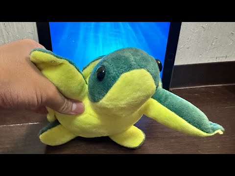 Low-budget Turtle Talk 2