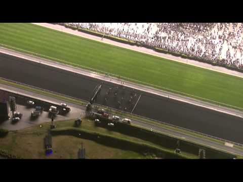 31.03.2012 Meydan (Dubai UAE) 9.Race Dubai World Cup 2012 - Group I 2.000 m HD-720p