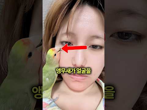 앵무새가 주인 얼굴을 파먹기 시작한 이유 🦜