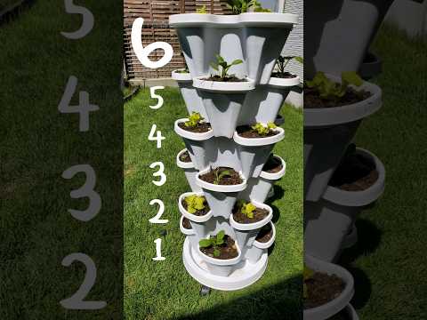 室内庭園の作り方は？簡単に育てられる野菜は何ですか？  庭園