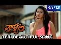 Loukyam Movie Teri Beautiful Song Gopichand Rakul Preet Singh