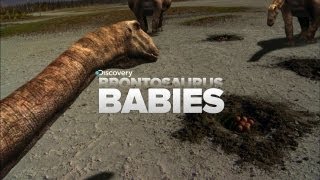 Cutest Baby Dinosaurs