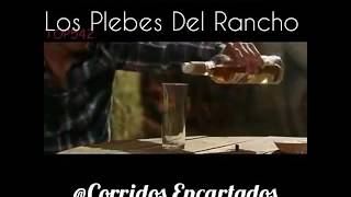 Los Plebes Del Rancho De Ariel Camacho - Por Enamorarme (Video Oficial) 2016