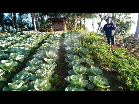 Pagbisita sa Farm ni utol Anthony