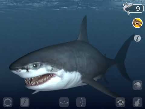 Talking Great White Shark for @CECarthurlorstudiostopmotions  and @epicgamer30903