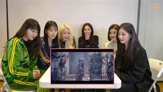 FAVORITE(페이버릿) LOCA 뮤직비디오 리액션 영상