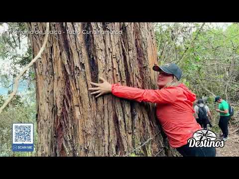 Ven a conocer sobre las diferentes historias de la #peñadejuaica en #tabio #cundinamarca
