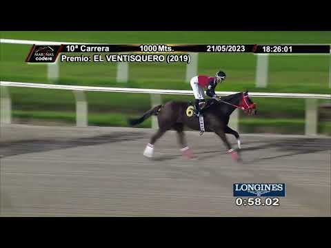 230521 C 10 - BIG QUEEN - HIPODROMO DE MAROÑAS
