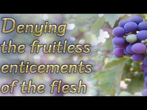 CATHOLIC MEDITATION: Thursday - 20 November, 2025. (33rd Week - Ordinary Time, Year C).