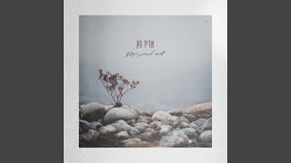 שובר לבבות מקצועי