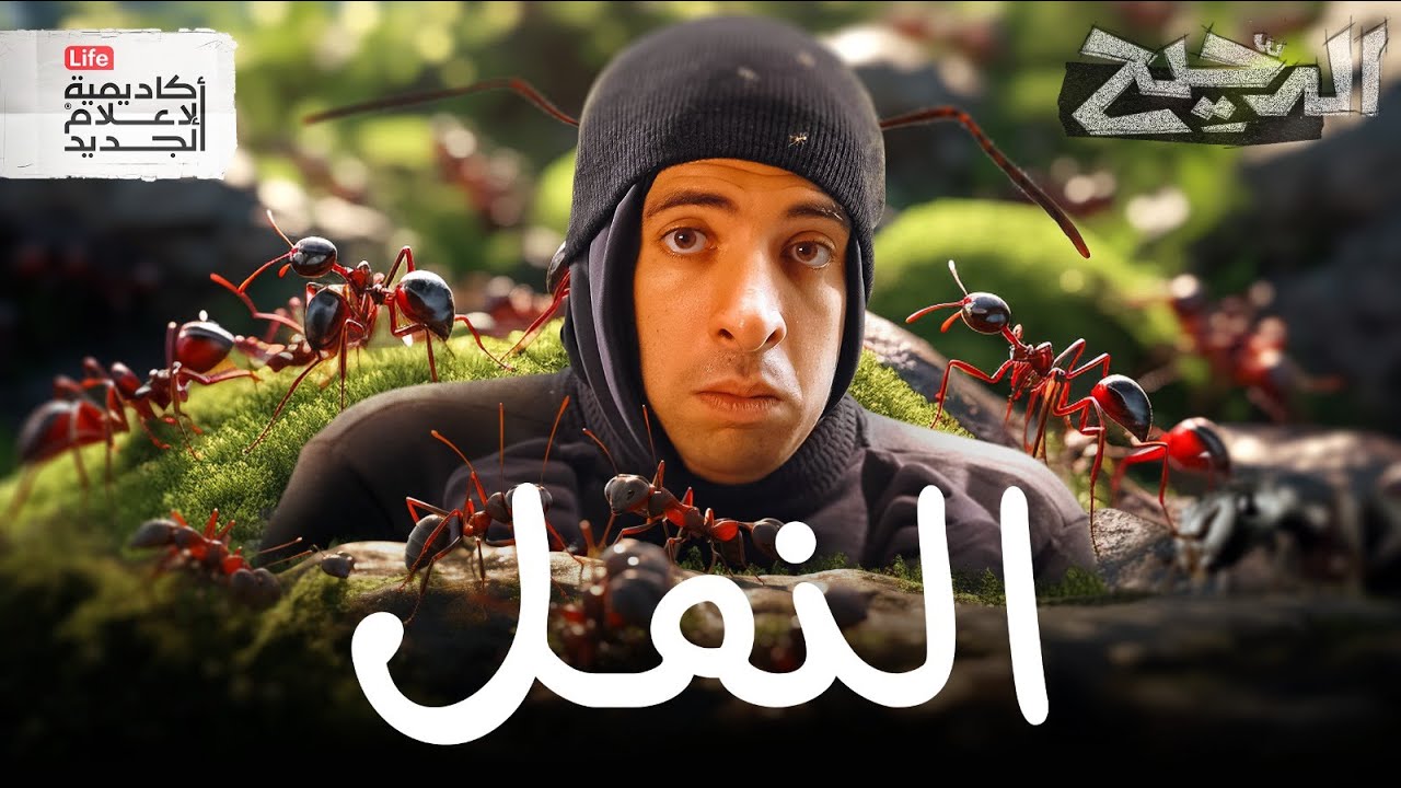 اقوى من البشر، أضعف من السكر | الدحيح