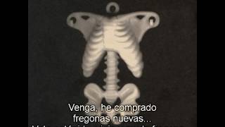 Pearl Jam Stupid Mop subtitulada