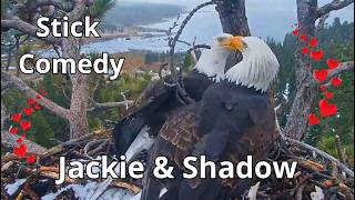 Jackie & Shadow's Funny Nestoration Tricks 😂🦅🦅❤️ Fiona🐿️ & Fast Freddie🐿️ Clean The Nest😍