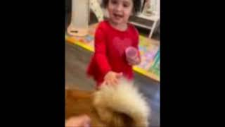 Video preview image #1 Chow Chow Puppy For Sale in San Antonio, TX, USA