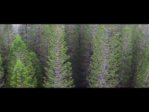 I.A. featuring Mike Izon - THE REAL THING(official music video)