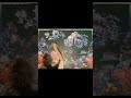 Eureka by Christian Riese Lassen | 3000-Piece Jigsaw Puzzle Timelapse 🧩🌊 #shorts