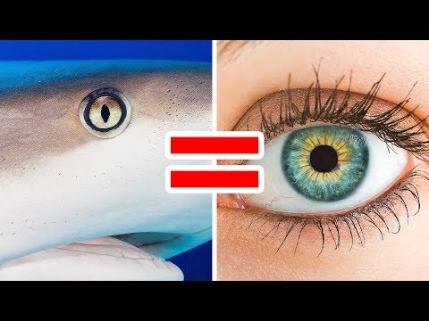 30 Little-Known Facts About Your Second Most Complex Organ