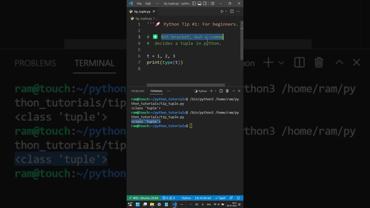 Python Tuple's Tip For Beginners