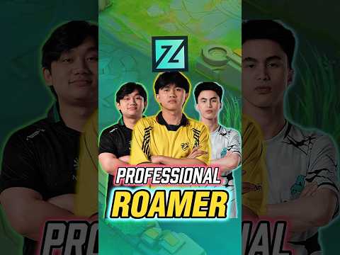 professional roamer for you #mobilelegends #mlbb