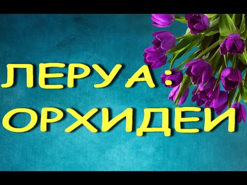 Леруа:ЗАВОЗ прекрасных ОРХИДЕЙ,20.08.22,ТЦ "Космопорт",Самара,ул. Дыбенко,30.