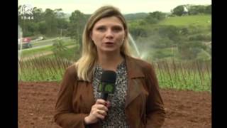 Miniatura do vídeo