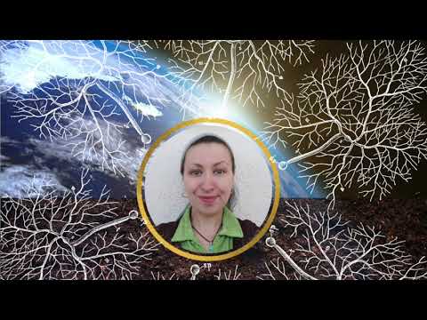 A Paradigm Shift in Soil Carbon – Mycelium Presentation by Mary Silk