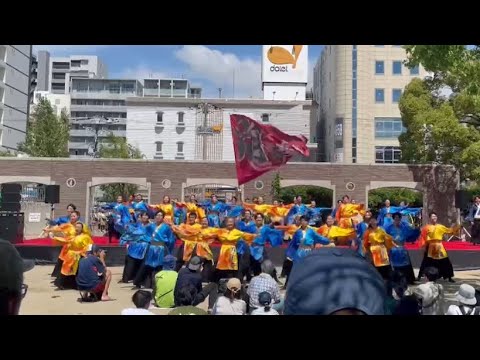 商学科 小樽商科大学"翔楽舞"「轟」第24回こいや祭り 吹田江坂会場