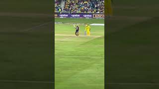 The quick MS Dhoni stumping   #ipl2021 #ipl #iplfinal #cskvskkr #csk #chennaisuperking #ms #msdhoni