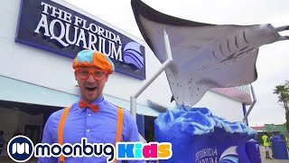 Download lagu Blippi Visits an Aquarium | Sing With Blippi | Blippi | Kids Songs | Moonbug Kids mp3