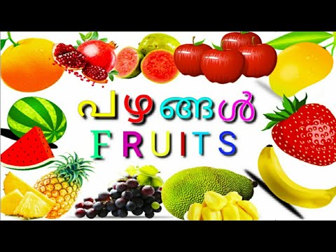 പഴങ്ങൾ fruits name in malayalam and english with pictures,/പഴങ്ങൾ  അവയുടെ ഇംഗ്ലീഷ് മലയാളം പേരുകൾ