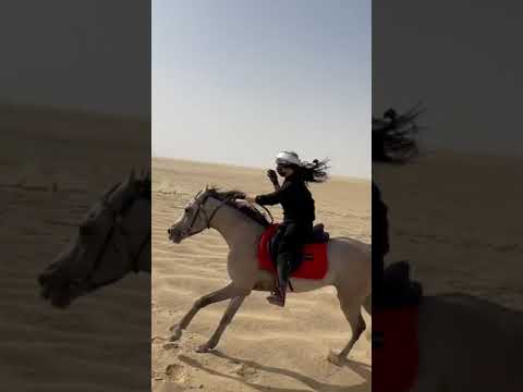 , title : 'سباق خيول شب مع بنت شف من الفائز 🥰❤'