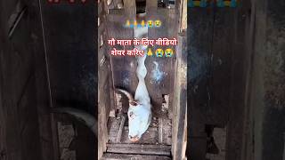 Download lagu गौ माता के लिए वीडियो शेयर करिए हमारी गौ माता के साथ गलत हो रहा है🙏🙏 😭😭#viral #youtubeshorts #video mp3