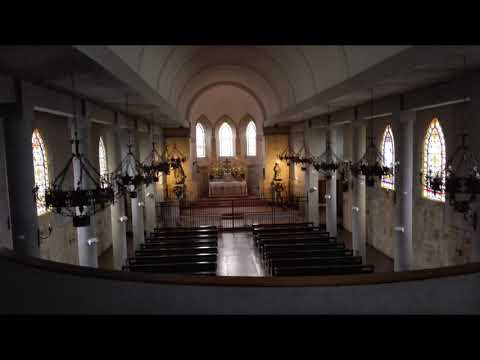 Missa IX: Cum Jubilo & Alma Redemptoris Mater (Simplex)