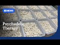 Treatments Like MDMA And Psilocybin To Be Funded For Veterans ABC News