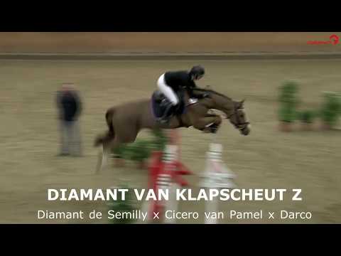 Impressionen Hengststation Völz 2020