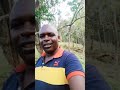 Chelele Manenos