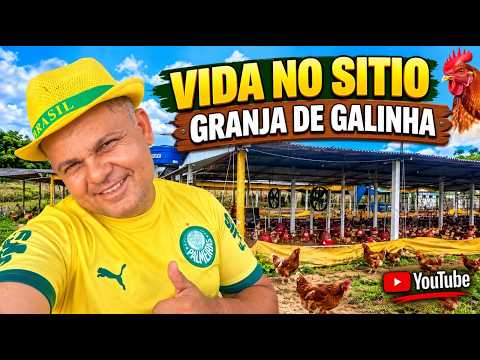 Vida no sítio granja de galinha laje São Lourenço da mata Pernambuco