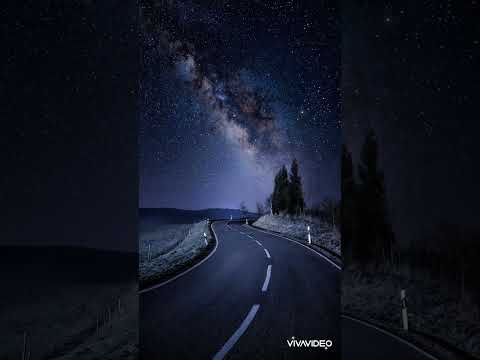 Daxten & W-Al feat. Frank Moody - Summer night