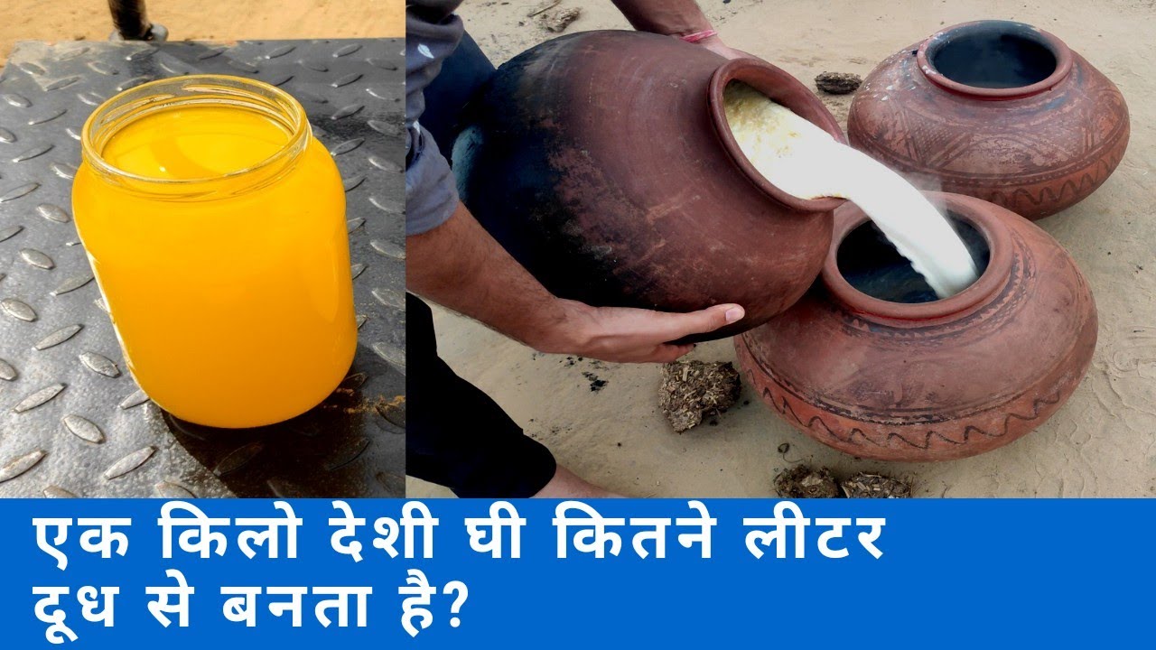 1 किलो A2 बिलौना घी कितने लीटर दूध से बनता है🤔How many liter milk are used to make 1kg Bilona ghee