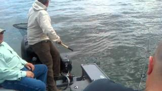 preview picture of video 'Fishing montana trout'