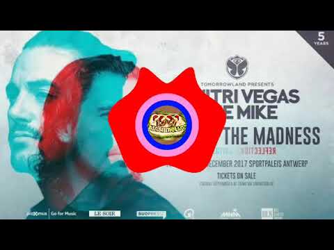 Paradise vs Tsunami (Dimitri Vegas & Like Mike Bringing The Madness: Reflections 2017 Mashup)