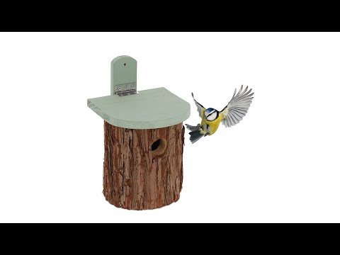 Cabane d'oiseaux étoile