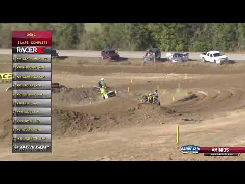 2019 Mini O's MX - 250 C