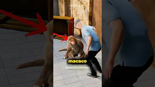 Ele treinou um macaco para roubar 😂 #curiosidades #fatoscuriosos #interesante