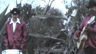 &quot;Chupale al Maguey&quot; Los Gallos de Mi Tierra