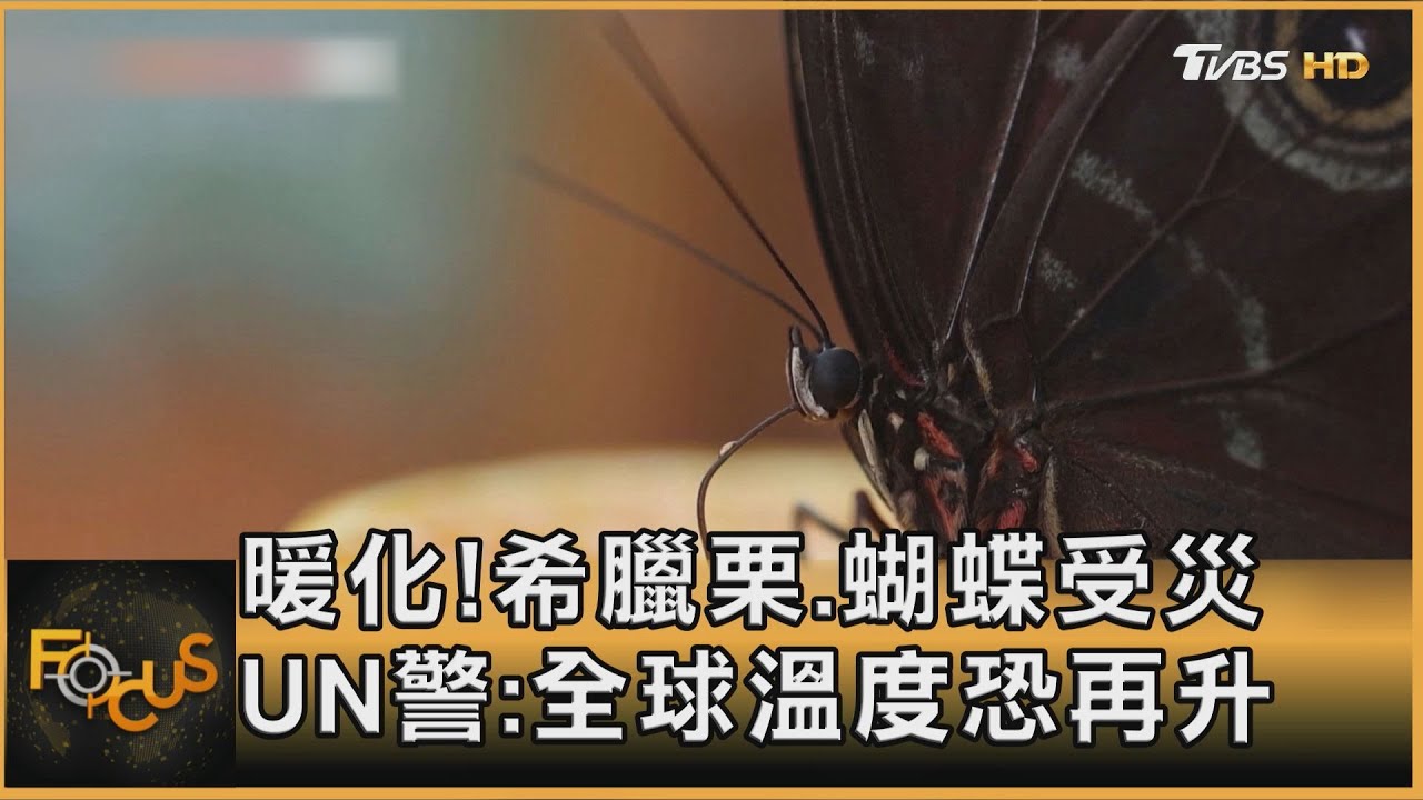 暖化!希臘栗.蝴蝶受災 UN:全球溫度恐再升