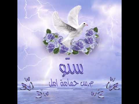 Stou X Ja7 - Mc 7amema Amal (Official Audio) | م س حمامه أمل