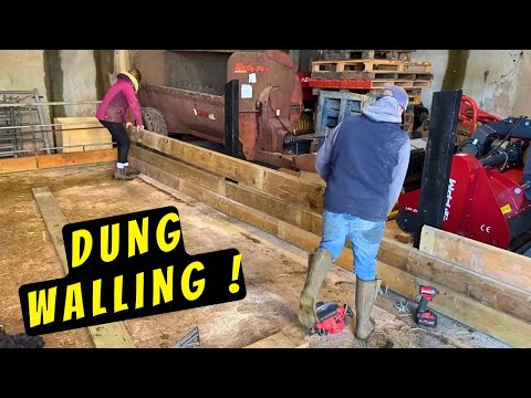 Giornata in fattoria: costruiamo insieme un muro di sterco!