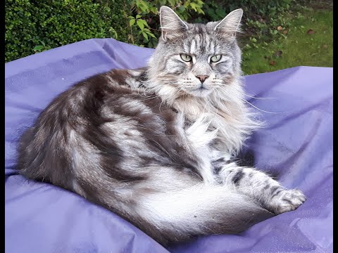 Deutsch mit Jens 110225